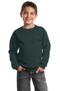 Port & Company® Youth Core Fleece Crewneck Sweatshirt.  PC90Y