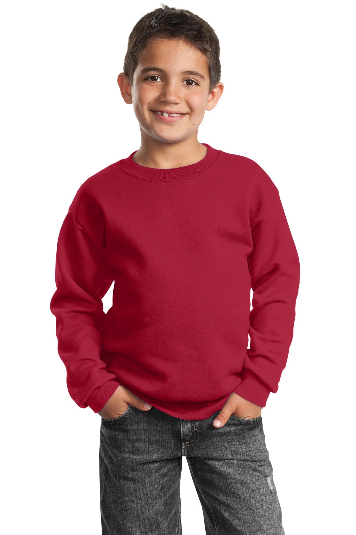 Port &amp; Company® Youth Core Fleece Crewneck Sweatshirt.  PC90Y
