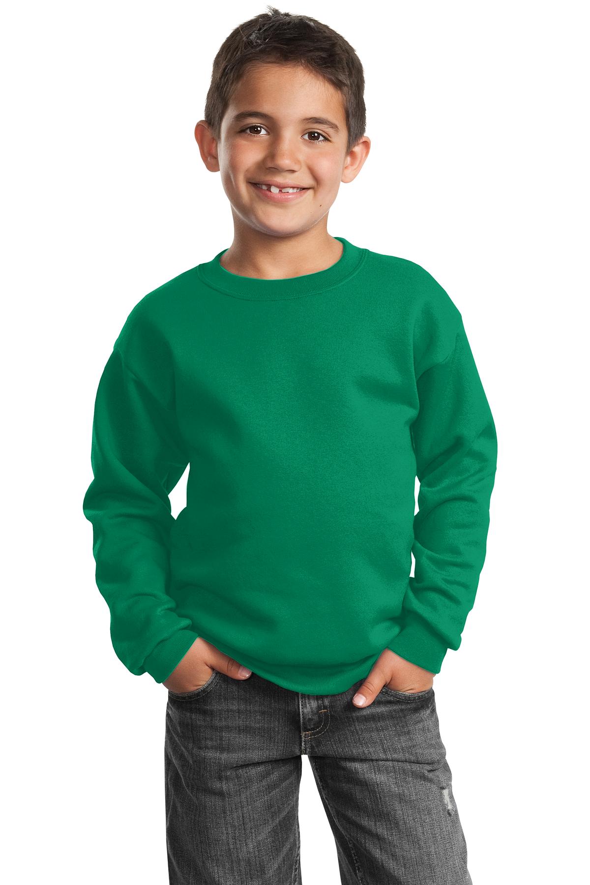 Port &amp; Company® Youth Core Fleece Crewneck Sweatshirt.  PC90Y
